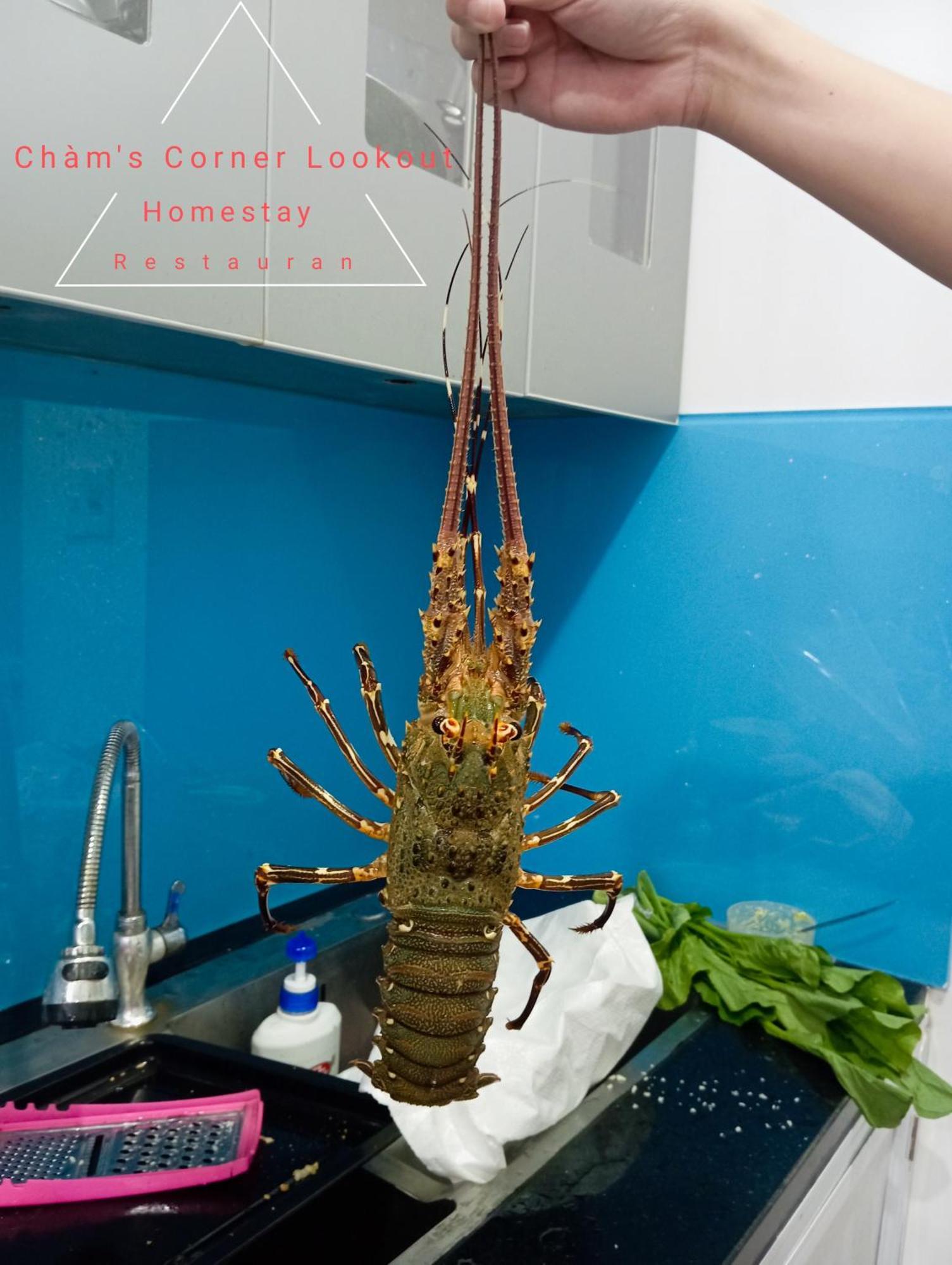 Cham'S Corner Lookout Homestay & Restaurant Tân Hiệ Eksteriør bilde