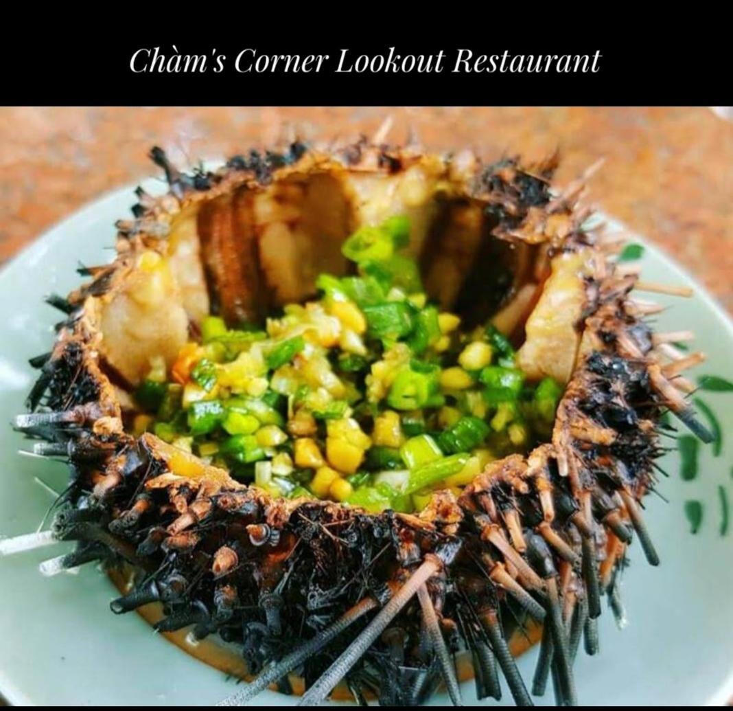 Cham'S Corner Lookout Homestay & Restaurant Tân Hiệ Eksteriør bilde